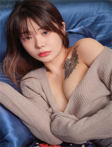 水煮金瓶梅-魔法少女奈叶ss国语