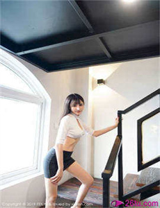 公安局长3