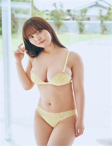 泰迪熊